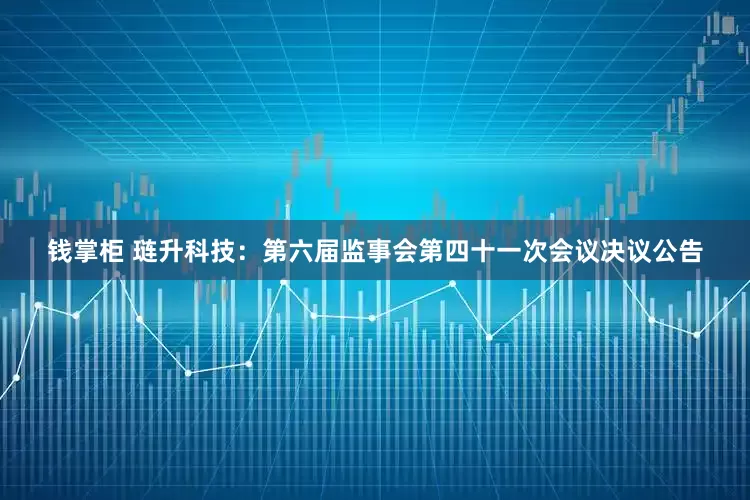 钱掌柜 琏升科技：第六届监事会第四十一次会议决议公告