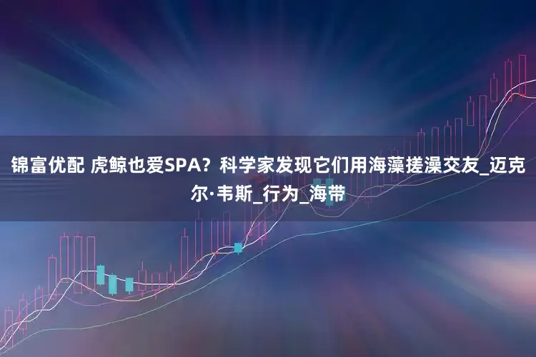 锦富优配 虎鲸也爱SPA？科学家发现它们用海藻搓澡交友_迈克尔·韦斯_行为_海带