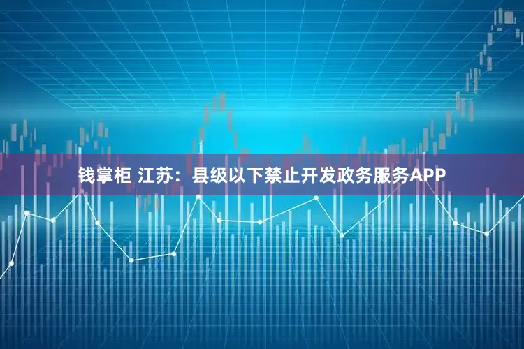 钱掌柜 江苏：县级以下禁止开发政务服务APP
