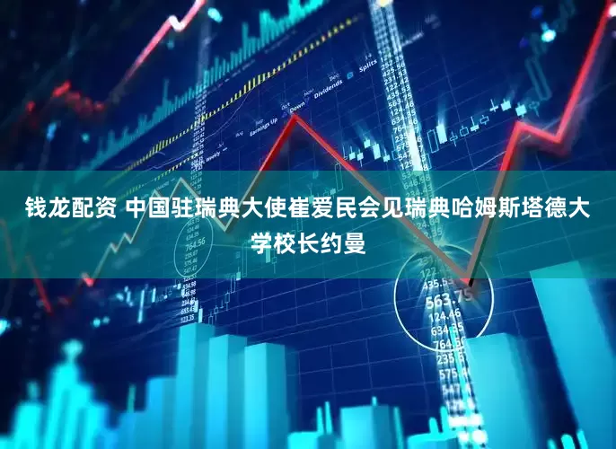 钱龙配资 中国驻瑞典大使崔爱民会见瑞典哈姆斯塔德大学校长约曼