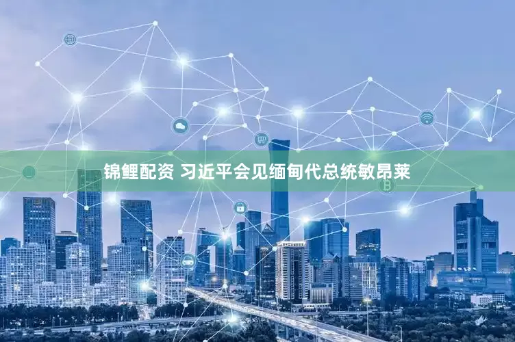 锦鲤配资 习近平会见缅甸代总统敏昂莱
